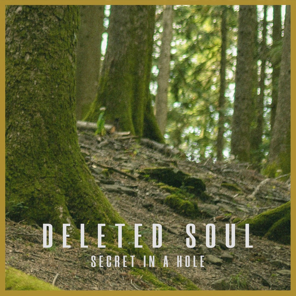 Delete Soul