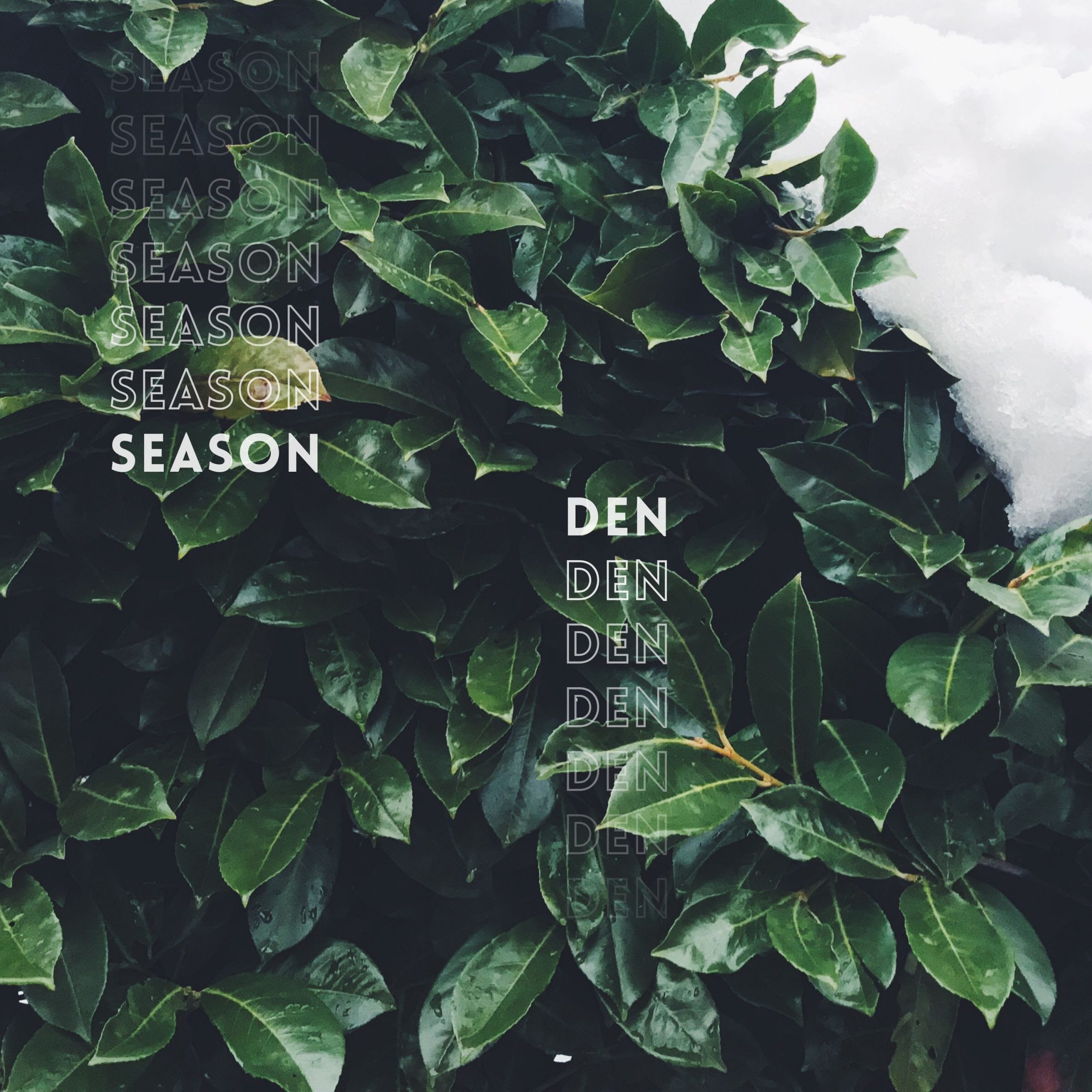 Season