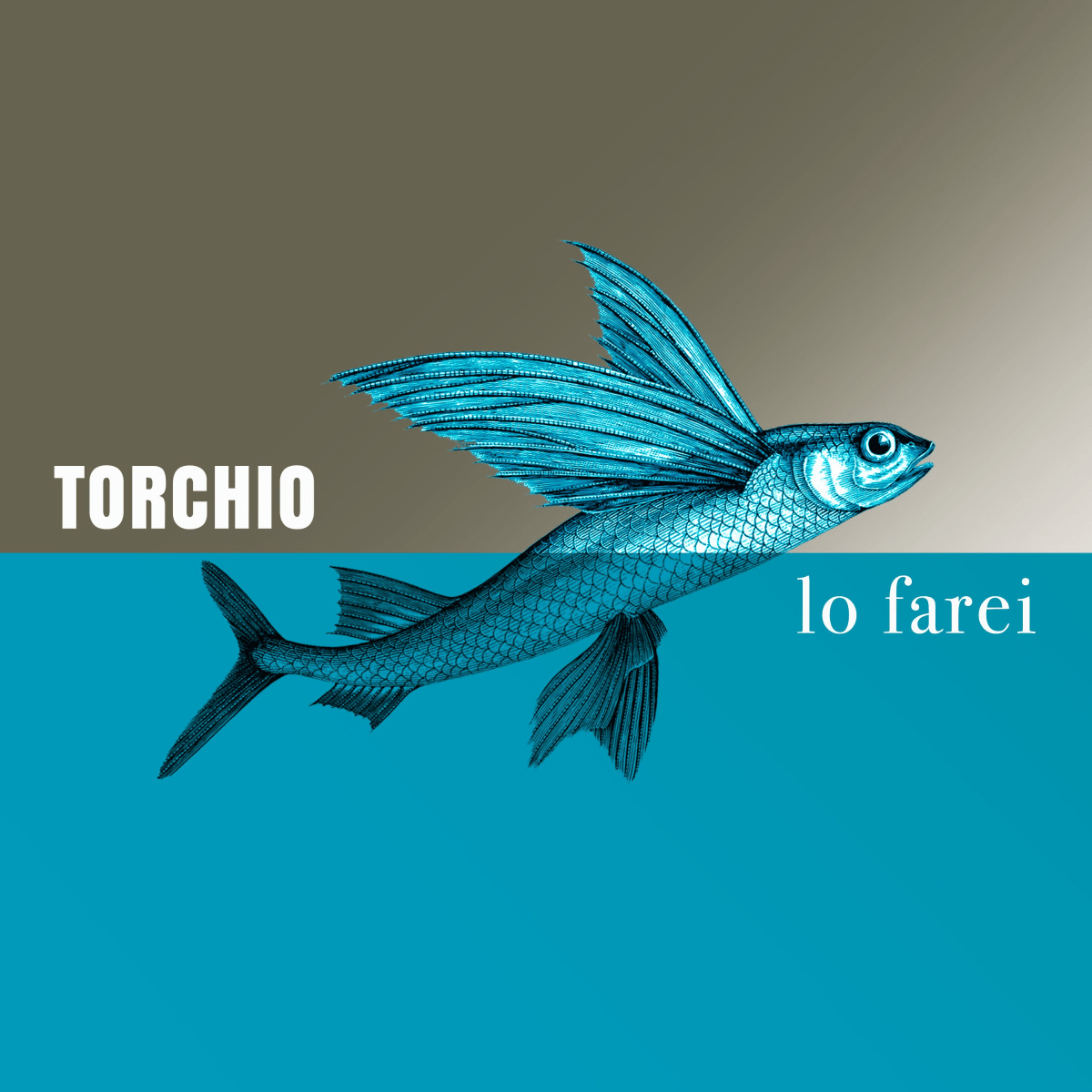 Torchio