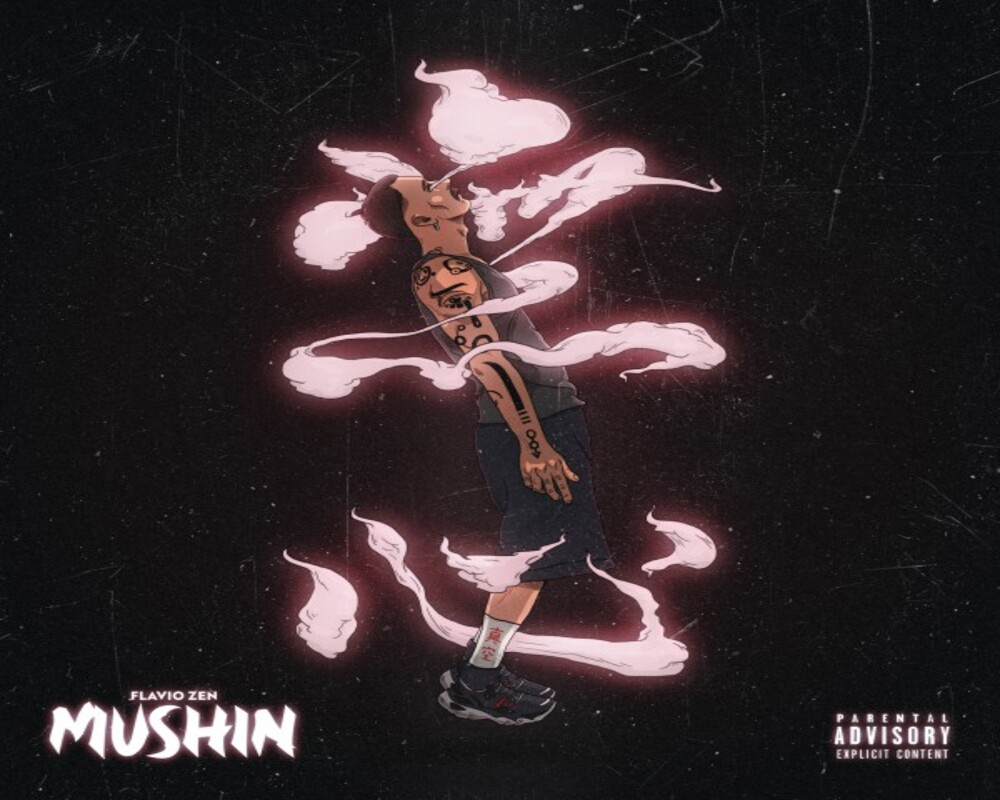 "Mushin" il nuovo album di Flavio Zen