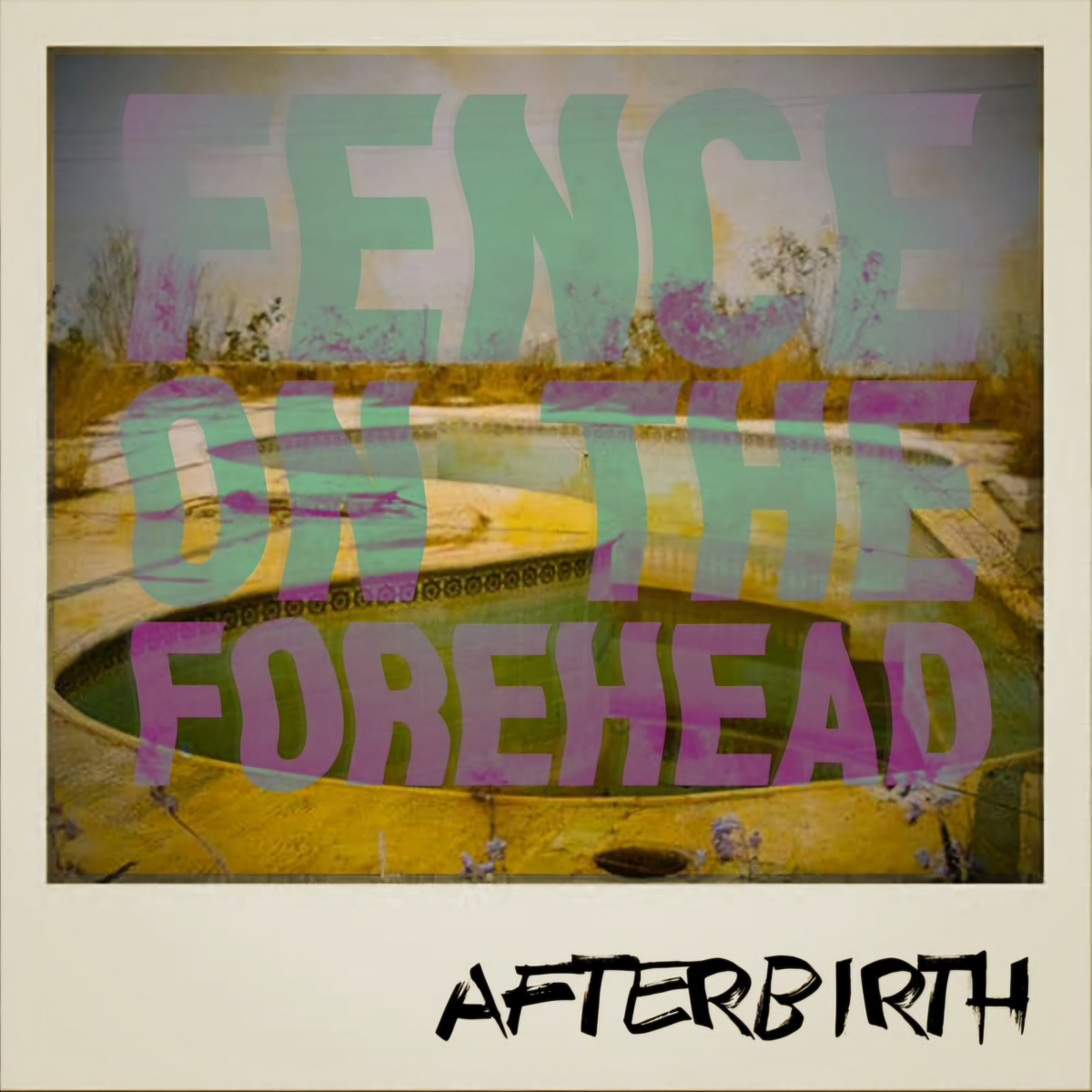 copertina dell'album di esordio dei Fence on the forehead